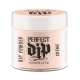 #2600225 Artistic Perfect Dip Coloured Powders ' Gorgeous In Gossamer '  (Sheer Nude Crème)  0.8 oz.